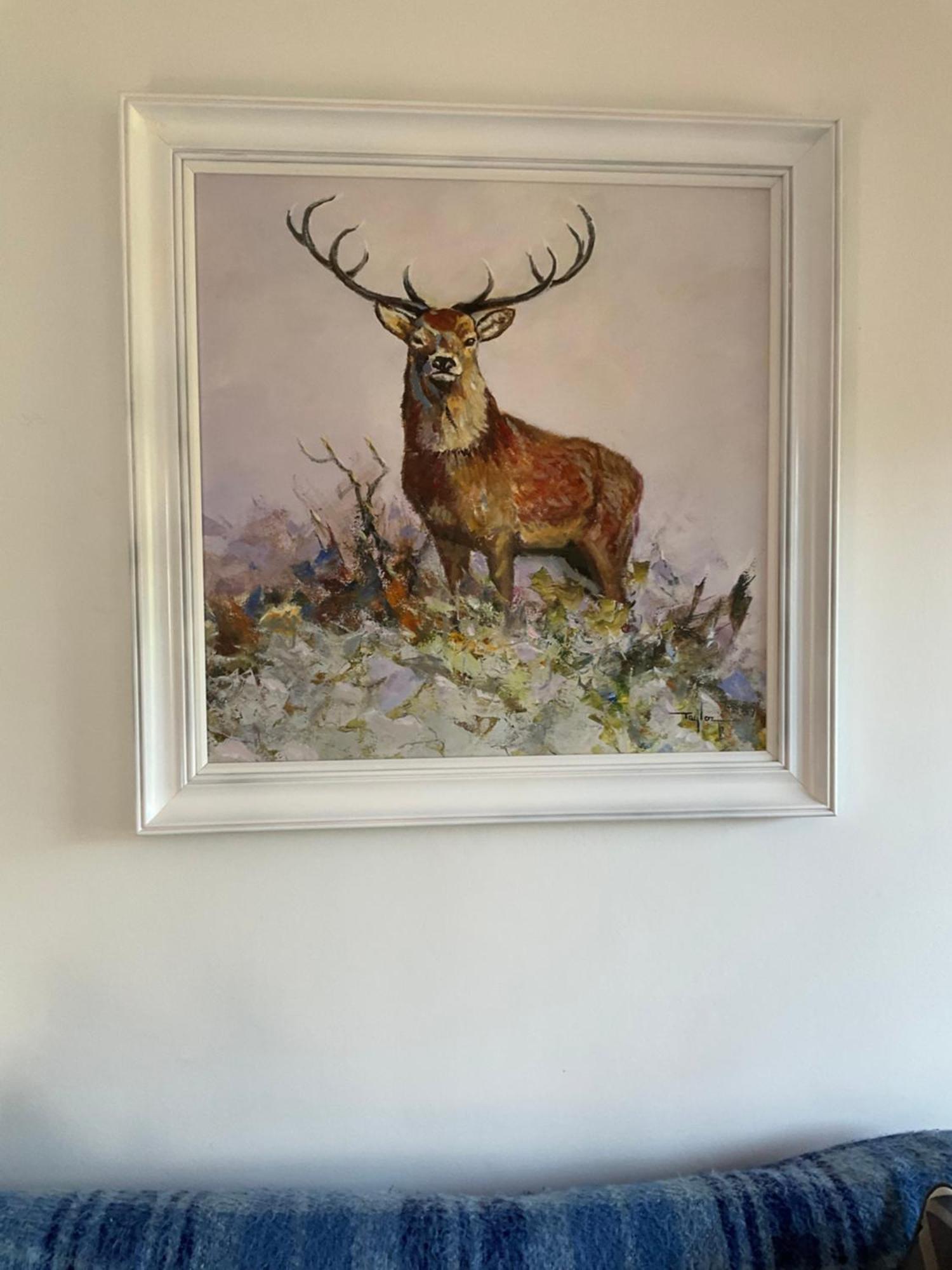 Heron Lodge, Edge Of Mabie Forest Dumfries Ngoại thất bức ảnh